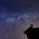 Meteor showers are visible for a few hours each night but moon cycles can compromise visibility.